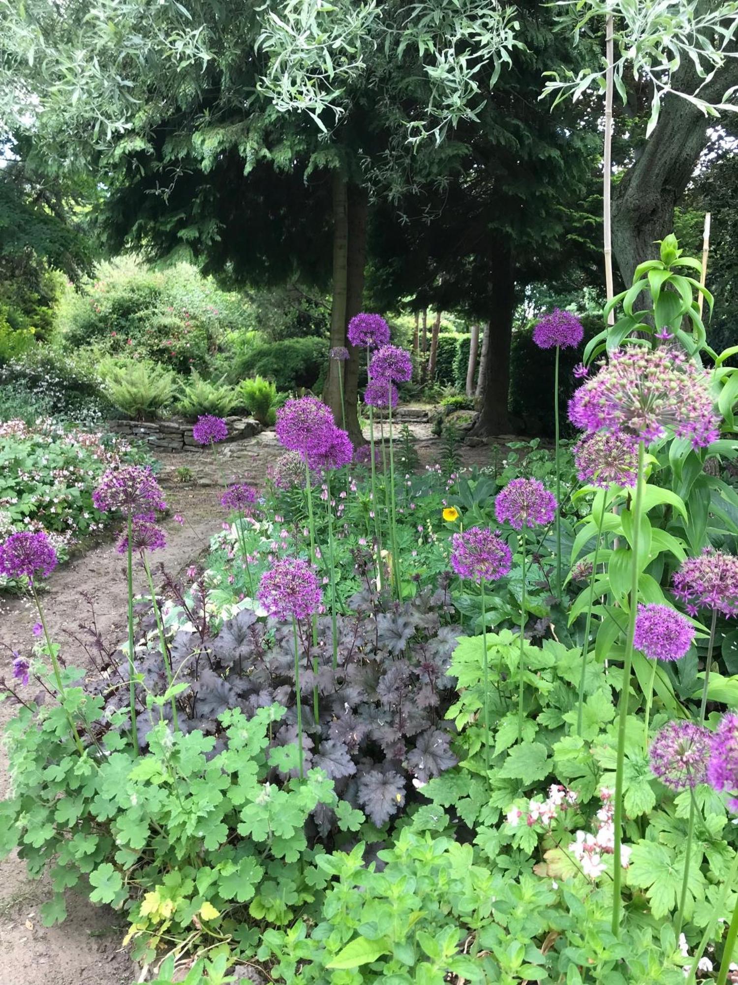 Phlomis Villa York Dış mekan fotoğraf