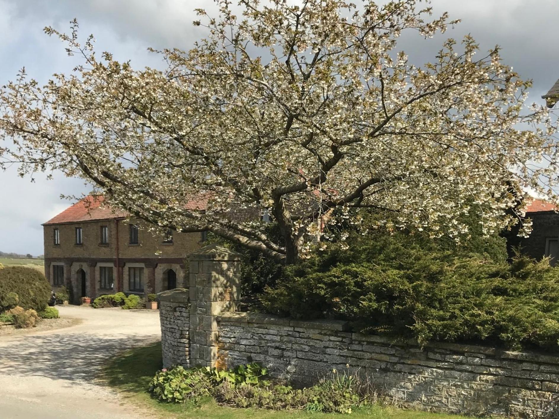 Phlomis Villa York Dış mekan fotoğraf